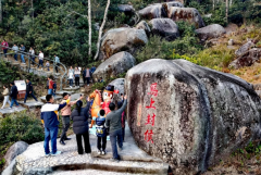 ���һӺ� ��Ծ��԰��������