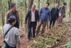 �������ϸ����磺�Ƽ�����