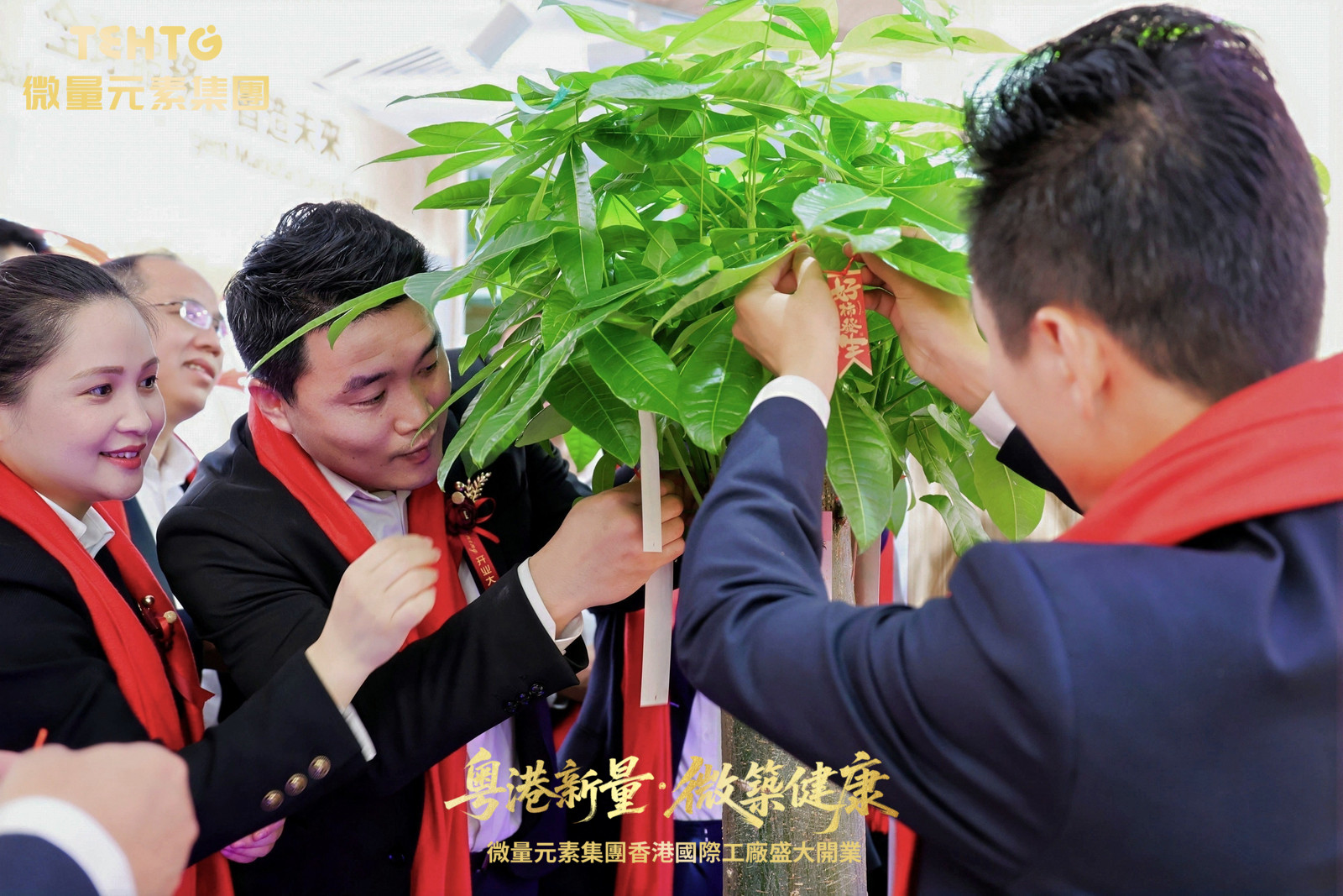 1772428725349065.jpg 4BBBD44B-4C5F-4DC7-8391-471B6F5763F8-36874-00000DF9B0C59939.jpg