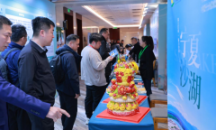 ����-������ɳ������������