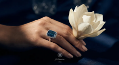 ��䲻Ӧֻ�ǳ��������Ʒ